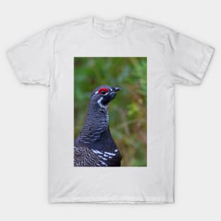 Spruce Grouse - Algonquin Park, Canada T-Shirt